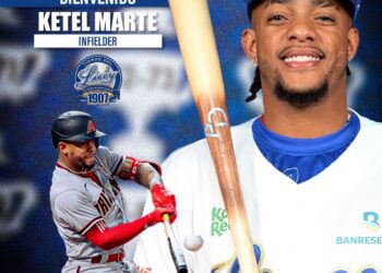 Tigres del Licey refuerzan su roster con Marte, Núñez y Adames  