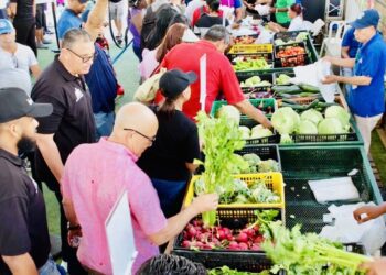 Miles asisten a la Feria Agropecuaria Nacional 2025