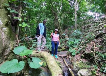 Residentes subestiman riesgos ambientales en la cuenca del río Nigua