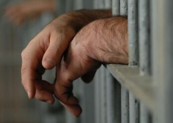 EEUU deporta a El Salvador a 261 miembros del Tren de Aragua y Mara Salvatrucha 