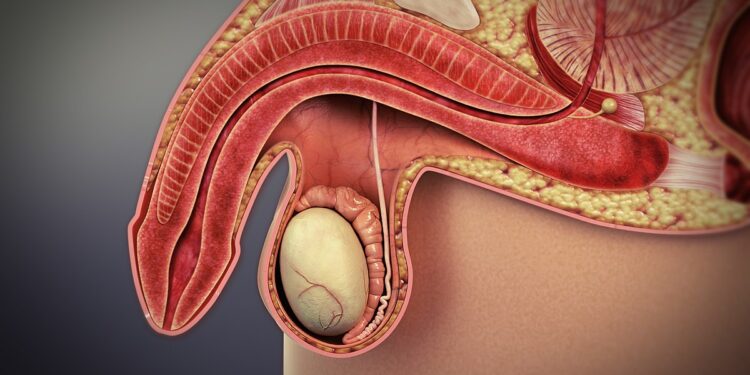 Salud Pública retira del mercado suplemento relacionado con disfunción eréctil