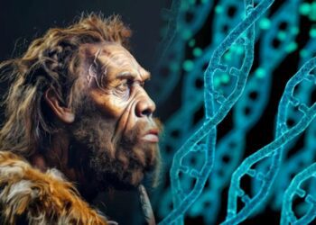 Nuevo estudio revela orígenes complejos de la evolución humana