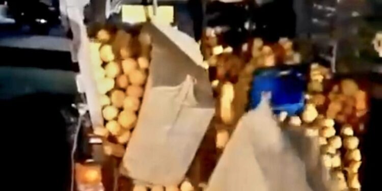 Ejército detiene 231 personas indocumentadas y desmantela contrabando de cigarrillos