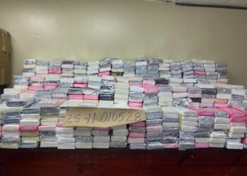 Alijo de cocaína en La Altagracia pesó más de una tonelada