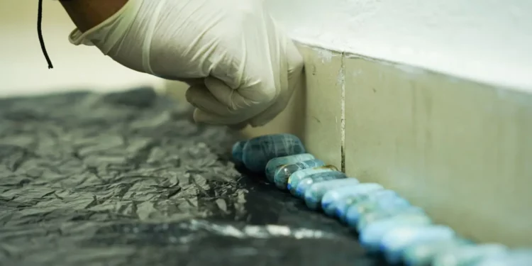 Capturan a francés con droga ingerida en aeropuerto dominicano