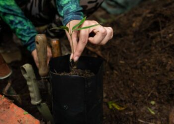 Ford convoca organizaciones a concurso en Centroamérica y República Dominicana