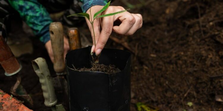 Ford convoca organizaciones a concurso en Centroamérica y República Dominicana
