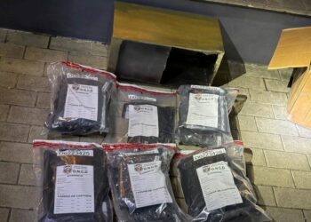 Dos operativos antinarcóticos frustran envíos de drogas por AILA