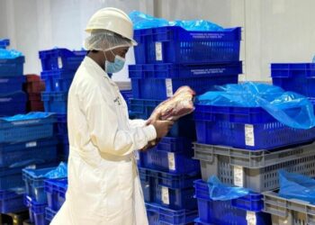 Estados Unidos reafirma confianza en carne dominicana tras auditoría oficial