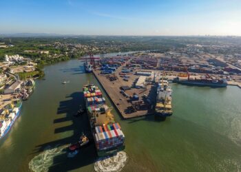 39 paquetes de marihuana detectados en contenedores desde Nueva York