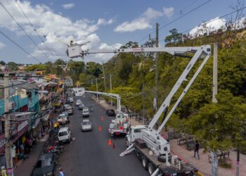 ETED pide prohibir chichiguas cerca del tendido eléctrico