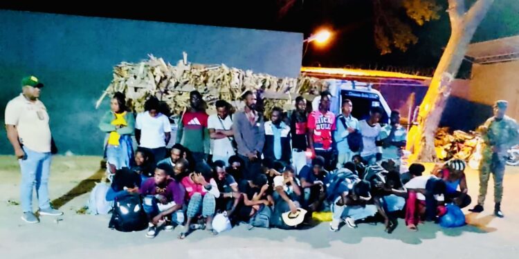 Arrestan a camionero por transportar 35 haitianos ocultos bajo hojas de plátano en Mao