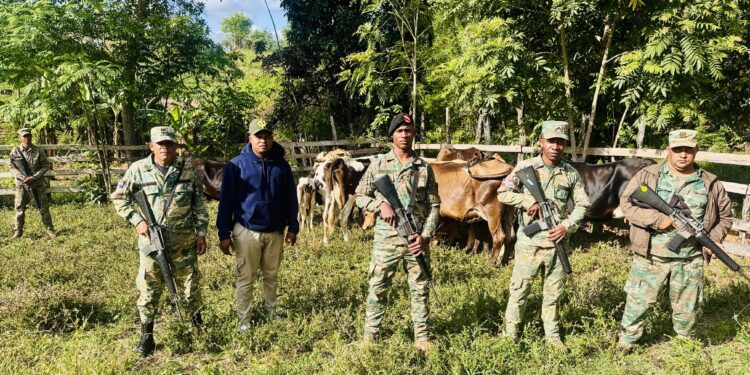 Ejército recupera ganado robado y detiene haitianos indocumentados