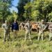 Ejército recupera ganado robado y detiene haitianos indocumentados