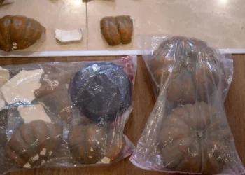 Cargamento de cocaína en auyamas en puerto Caucedo pesó 624 kilogramos 