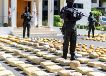 DNCD dice marihuana incautada en Pedernales pesó mil cien libras más del dato inicial 