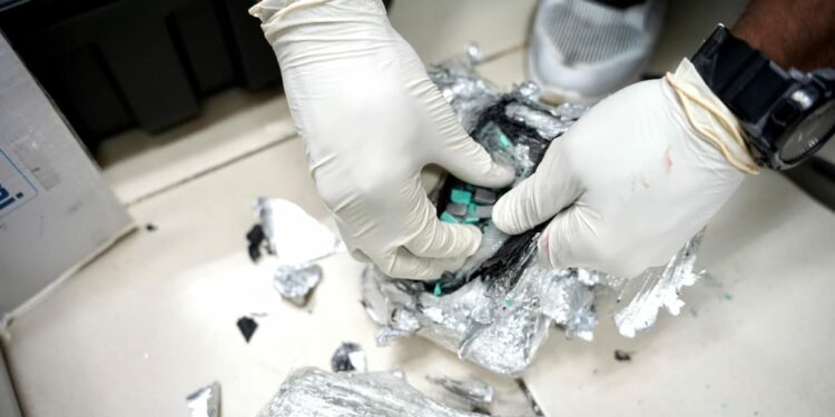 DNCD frustra envío de 2,700 pastillas éxtasis camuflado en bocina