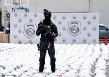 Récord histórico: marihuana incautada en Haina pesó 6,740 libras