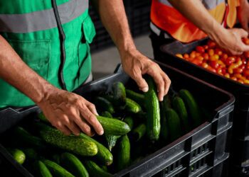 Ford impulsa causas verdes con 85 mil dólares en donativos