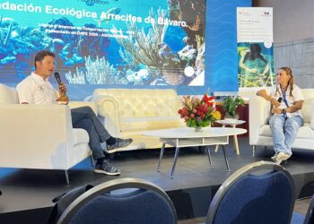DATE 2025: Turismo y conservación chocan en Bávaro: arrecifes y tortugas en peligro