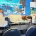 DATE 2025: Turismo y conservación chocan en Bávaro: arrecifes y tortugas en peligro