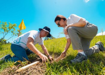 Sembrando futuro: voluntarios del Grupo Popular plantan 5,000 árboles en Plan Sierra