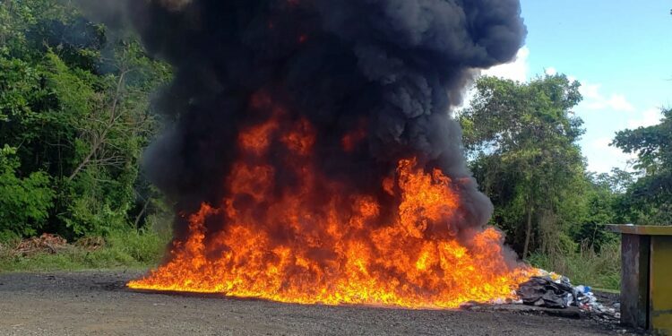 Inacif incinera más de 7 mil kilos de drogas en lo que va del 2025