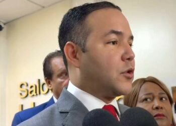 PLD respalda regulación de candidaturas independientes por parte JCE