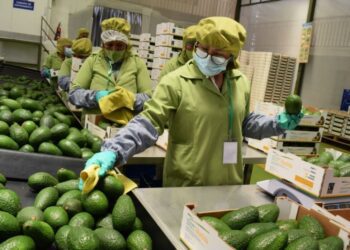 Aranceles de EE. UU. hacia América Latina y el Caribe aumentó 42 veces