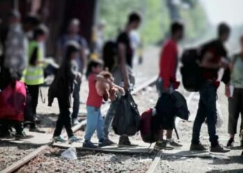 La OIM actuará en el retorno voluntario de migrantes desde Estados Unidos