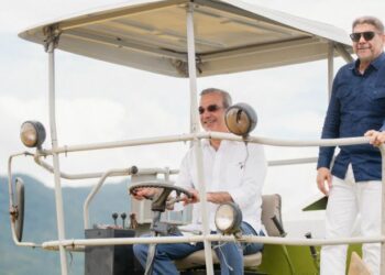 RD proyecta cosecha de arroz de 15 millones de quintales para 2025