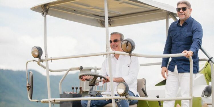 RD proyecta cosecha de arroz de 15 millones de quintales para 2025