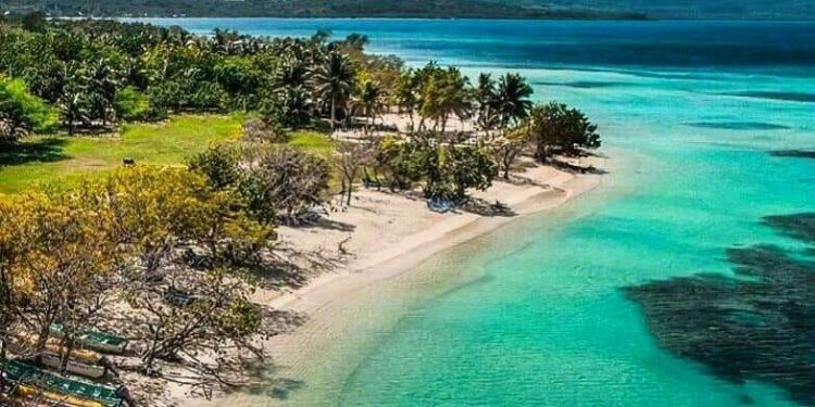 Denuncian presunta red criminal que falsifica sentencias para robar tierras