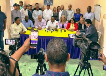 PLD exige transparencia a alcaldes del PRM en Santo Domingo