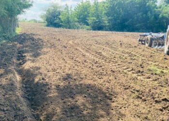 Advierten Identidad gastronómica dominicana amenazada por pérdida agrícola