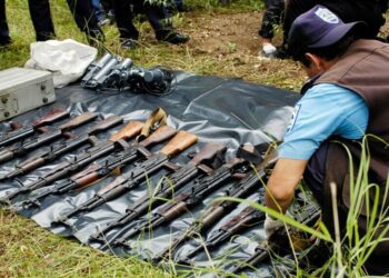 Siete países respaldado por OEA cierran filas contra tráfico ilegal de armas