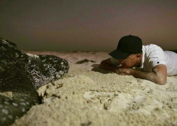 Domínguez Brito llama a actuar por el medio ambiente