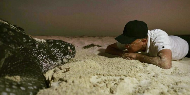 Domínguez Brito llama a actuar por el medio ambiente