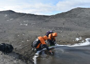 La vida encontró refugio en charcos durante la gran congelación