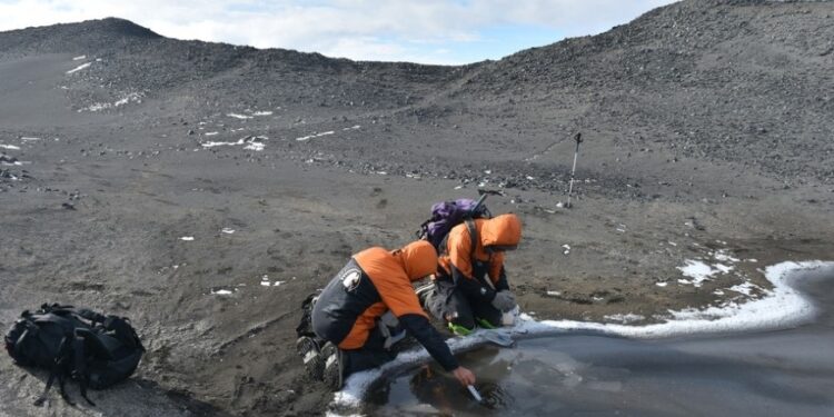 La vida encontró refugio en charcos durante la gran congelación