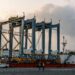 DP World incorpora tres nuevas grúas en Punta Caucedo