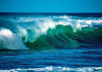 El 8 de junio se celebra el Día Mundial de los Océanos bajo el lema “Maravilla”.