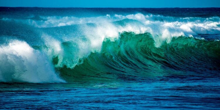 El 8 de junio se celebra el Día Mundial de los Océanos bajo el lema “Maravilla”.