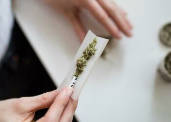 La inestabilidad mundial agrava el problema de las drogas