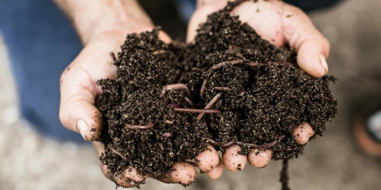 Punta Cana apuesta en grande por el compostaje