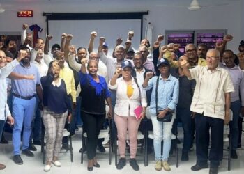 PLD critica al CODIA por silencio ante crisis gremial