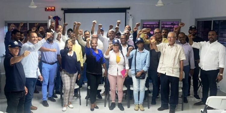 PLD critica al CODIA por silencio ante crisis gremial