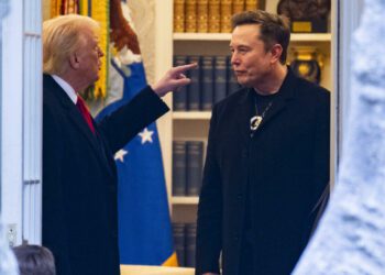 Trump y Musk rompen: del poder compartido a la guerra abierta