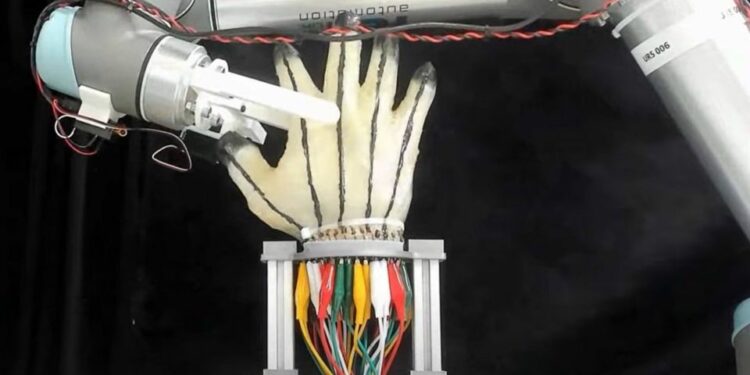 Revolución sensorial: nace la piel robótica inteligente sensible al calor y dolor