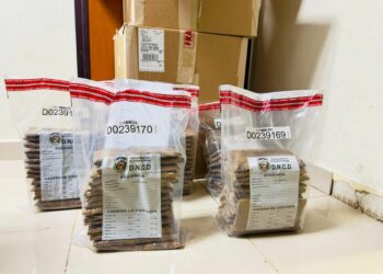 Nueva táctica narco: cocaína camuflada en tabaco dominicano